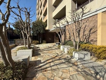 【東京都/国分寺市東恋ヶ窪】デュオ・フィールズグローヴシティ アプローチ