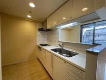 【東京都/武蔵野市緑町】武蔵野ガレリアヴェルデテラッツァ キッチン