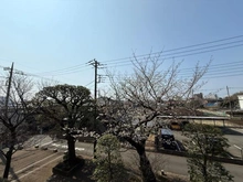 【東京都/武蔵野市八幡町】クラルテ武蔵野 眺望