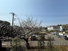 【東京都/武蔵野市八幡町】クラルテ武蔵野 眺望