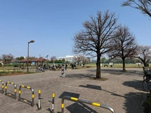 【東京都/武蔵野市八幡町】クラルテ武蔵野 武蔵野中央公園（現地より約450m）