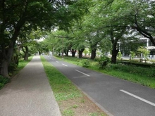 【東京都/西東京市向台町】ヴィーガーデン ザ・レジデンス Cサルーン 多摩湖自転車道（現地より約200m）