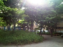 【東京都/新宿区東五軒町】グラツィオーソ神楽坂ウエスト 東五軒公園（現地より約160m）