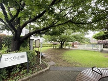 【東京都/中野区中野】シティテラス中野 中野区立さくら公園（現地より約240m）