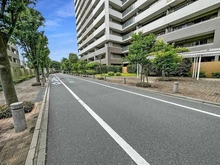 【東京都/武蔵野市境】デライトシティ ブレスコート 前面道路