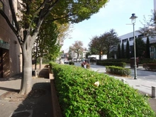 【東京都/武蔵野市中町】クリオレミントンハウス武蔵野 敷地内