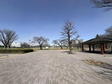 【東京都/武蔵野市緑町】武蔵野ガレリア ルーチェテラッツァ 武蔵野中央公園（現地より約310m）：