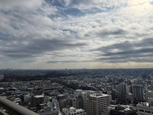 【東京都/武蔵野市中町】武蔵野タワーズ スカイクロスタワー 眺望