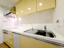 【大阪府/大阪市西区南堀江】エルザグレース堀江タワー キッチン