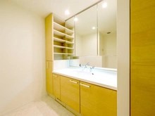 【大阪府/大阪市西区南堀江】エルザグレース堀江タワー 洗面室