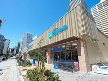【大阪府/大阪市浪速区稲荷】プラウド難波 スーパーマルハチ　なんば店（現地より約450m）