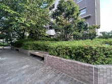 【大阪府/大阪市城東区新喜多東】プラウド城東 敷地内