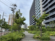 【大阪府/大阪市淀川区三津屋北】シティテラス神崎川駅前 シーズンズテラス 敷地内