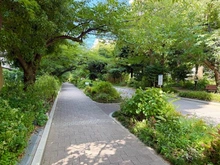 【大阪府/大阪市都島区友渕町】ベル・パークシティ画地II J棟 敷地内