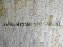 【大阪府/大阪市北区東天満】ランズ南森町 マンション表札