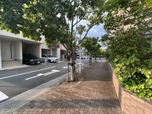 【大阪府/大阪市城東区新喜多東】プラウド城東 前面道路