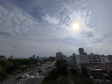 【大阪府/大阪市住之江区粉浜西】プライムスクエア住吉公園 眺望