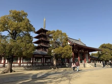 【大阪府/大阪市天王寺区大道】リバーガーデン四天王寺 四天王寺（現地より約500m）