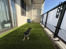 【大阪府/大阪市東淀川区下新庄】ローレルスクエア OSAKA LINK バルコニー