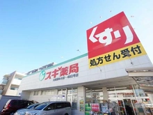 【東京都/大田区下丸子】パークハウス多摩川南 5番館 スギ薬局大田鵜の木店（現地より約405m）