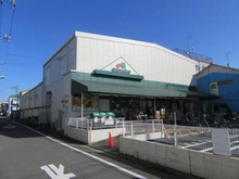 【東京都/大田区大森南】パルミナード森ヶ崎公園 マルエツ　大森東店（現地より約990m）
