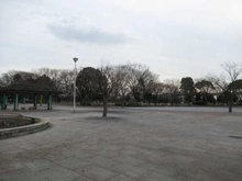 【東京都/葛飾区西新小岩】パレステージ新小岩ファストコート 新小岩公園（現地より約520m）