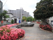 【東京都/葛飾区西新小岩】パレステージ新小岩ファストコート 西井堀せせらぎパーク（現地より約270m）