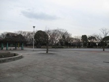 【東京都/葛飾区西新小岩】パレステージ新小岩ファストコート 新小岩公園（現地より約520m）