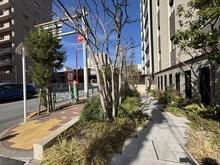 【東京都/墨田区緑】パークホームズ錦糸町ザレジデンス 敷地内