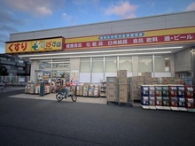 【東京都/葛飾区西新小岩】新小岩パーク・ホームズ どらっぐぱぱす西新小岩店（現地より約320m）