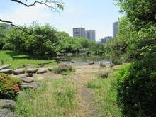 【東京都/墨田区向島】アトラス押上  隅田公園（現地より約800m）