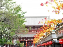 【東京都/墨田区向島】アトラス押上 浅草寺（現地より約1,200m）