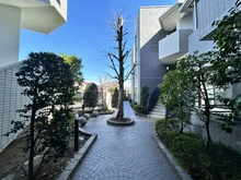 【東京都/杉並区和泉】杉並和泉ハイム 敷地内