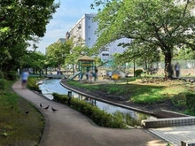 【東京都/墨田区業平】業平橋住宅 大横川親水公園（現地より約30m）