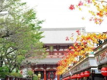 【東京都/墨田区業平】業平橋住宅 浅草寺（現地より約1,400m）