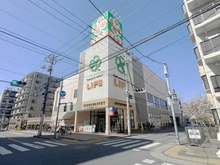 【東京都/江戸川区西小岩】ベルヴィータ小岩 ライフ　西小岩店（現地より約600m）