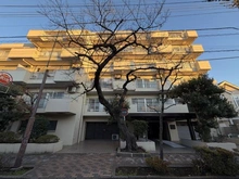 【東京都/葛飾区柴又】MAC柴又コート 外観