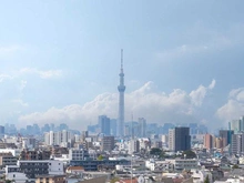 【東京都/葛飾区高砂】青砥東パーク・ホームズ 眺望：ズーム有