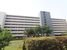 【東京都/江戸川区東葛西】桑川町住宅 2号棟 外観