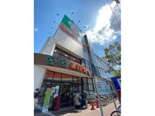 【東京都/江東区大島】ザ・ガーデンタワーズ　サンライズタワー ライフ深川猿江店（現地より約560m）