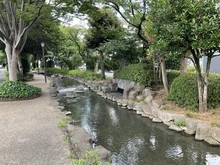 【東京都/江戸川区中央】クレアホームズ新小岩親水公園 小松川境川親水公園（現地より約150m）：緑あふれる緑道が全長3,930m続きます。
途中グリーンパレス江戸川や東小松川公園があります。
夏は子供たちが水遊びをし、春には桜が咲きます。