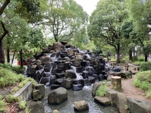 【東京都/江戸川区中央】クレアホームズ新小岩親水公園 小松川境川親水公園（現地より約150m）：緑あふれる緑道が全長3,930m続きます。
途中グリーンパレス江戸川や東小松川公園があります。
夏は子供たちが水遊びをし、春には桜が咲きます。
