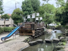 【東京都/江戸川区中央】クレアホームズ新小岩親水公園 小松川境川親水公園（現地より約150m）：緑あふれる緑道が全長3,930m続きます。
途中グリーンパレス江戸川や東小松川公園があります。
夏は子供たちが水遊びをし、春には桜が咲きます。