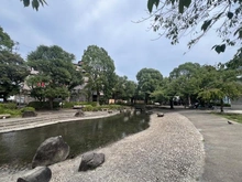 【東京都/江戸川区松島】東神ダイアパレス新小岩 東小松川公園（現地より約415m）：