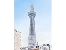 【東京都/墨田区向島】パークホームズ押上　ザ　レジデンス 眺望：ズーム有