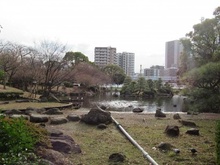 【東京都/墨田区向島】パークホームズ押上　ザ　レジデンス 台東区立隅田公園（現地より約1,100m）