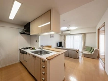 【神奈川県/川崎市川崎区下並木】川崎サイトシティIII番館 LDK