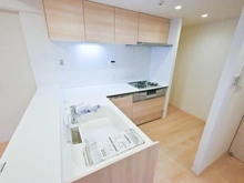 【東京都/墨田区向島】セレナハイム隅田公園ビューステージ キッチン