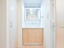 【東京都/墨田区向島】セレナハイム隅田公園ビューステージ 洗面所