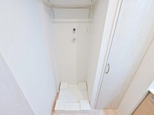 【東京都/墨田区向島】セレナハイム隅田公園ビューステージ 洗面所：洗濯機置場